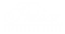 PetoczPinceszet_Logo_1-white-sm-1